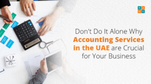 Accounting Services in the UAE