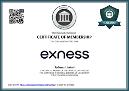 Exness MT4 Download Your Complete Guide to MetaTrader 4