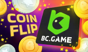 Unlocking the Fun An In-Depth Look at BC Game Casino