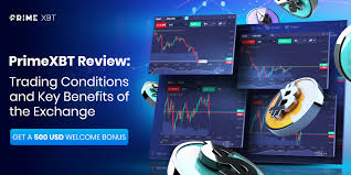 Explore the PrimeXBT Mobile Version Trade Anytime, Anywhere Explore the PrimeXBT Mobile Version Trade Anytime, Anywhere